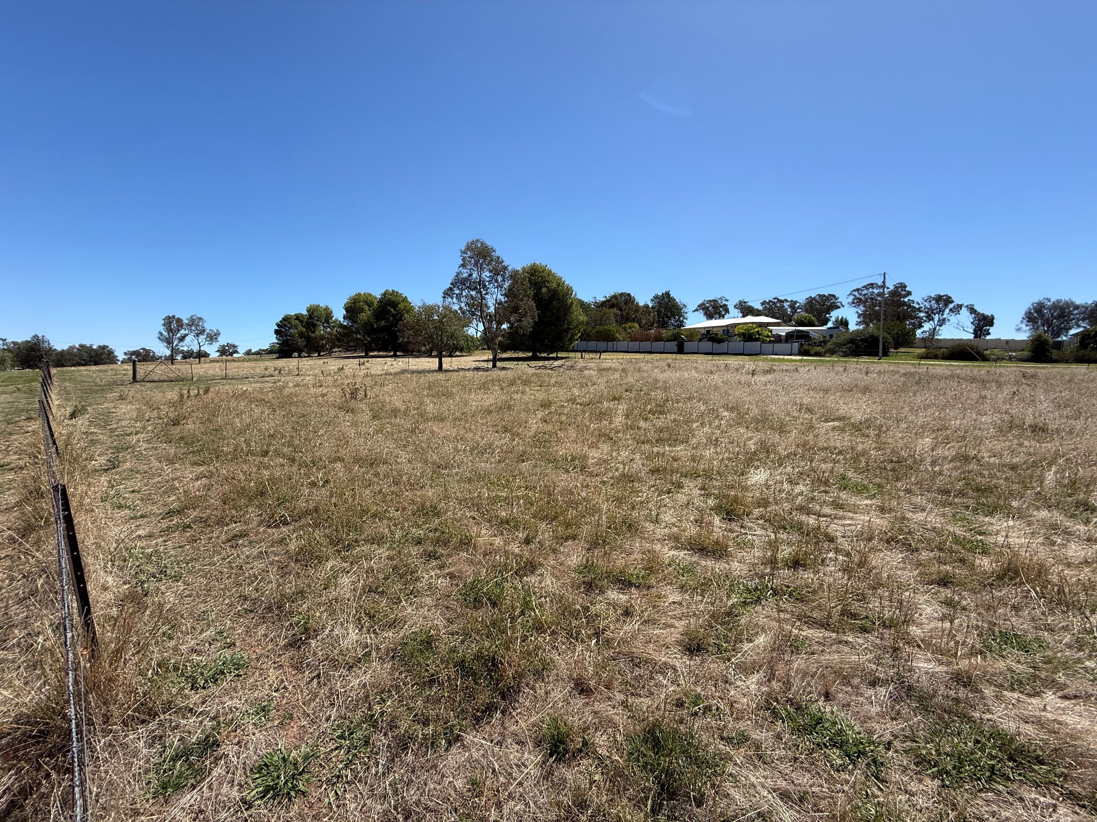 Lots 12, 13, 14 & 15 Mirriam Street, Bendick Murrell Via, Young NSW 2594, Young - Thumbnail 4