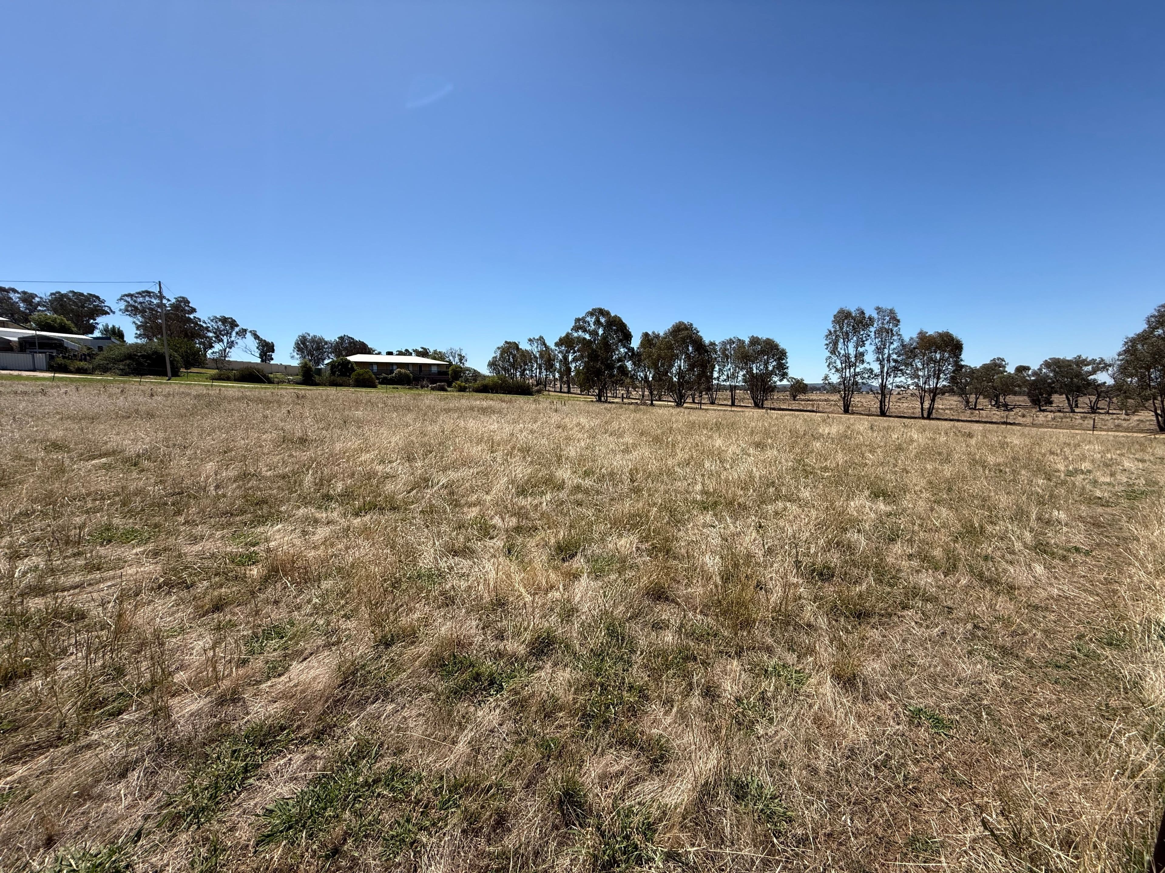 Lots 12, 13, 14 & 15 Mirriam Street, Bendick Murrell Via, Young NSW 2594, Young - Thumbnail 5