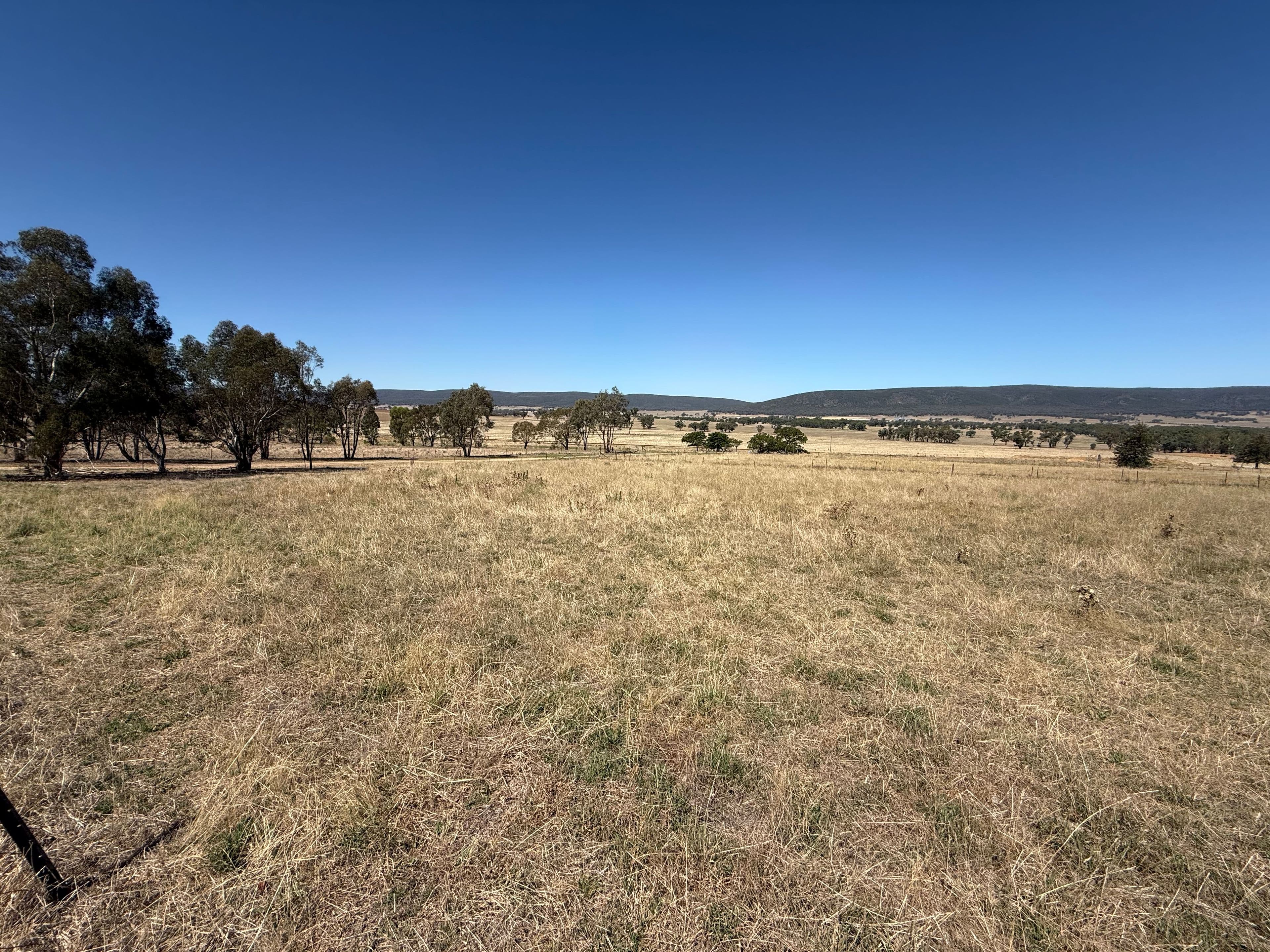 Lots 12, 13, 14 & 15 Mirriam Street, Bendick Murrell Via, Young NSW 2594, Young - Thumbnail 7