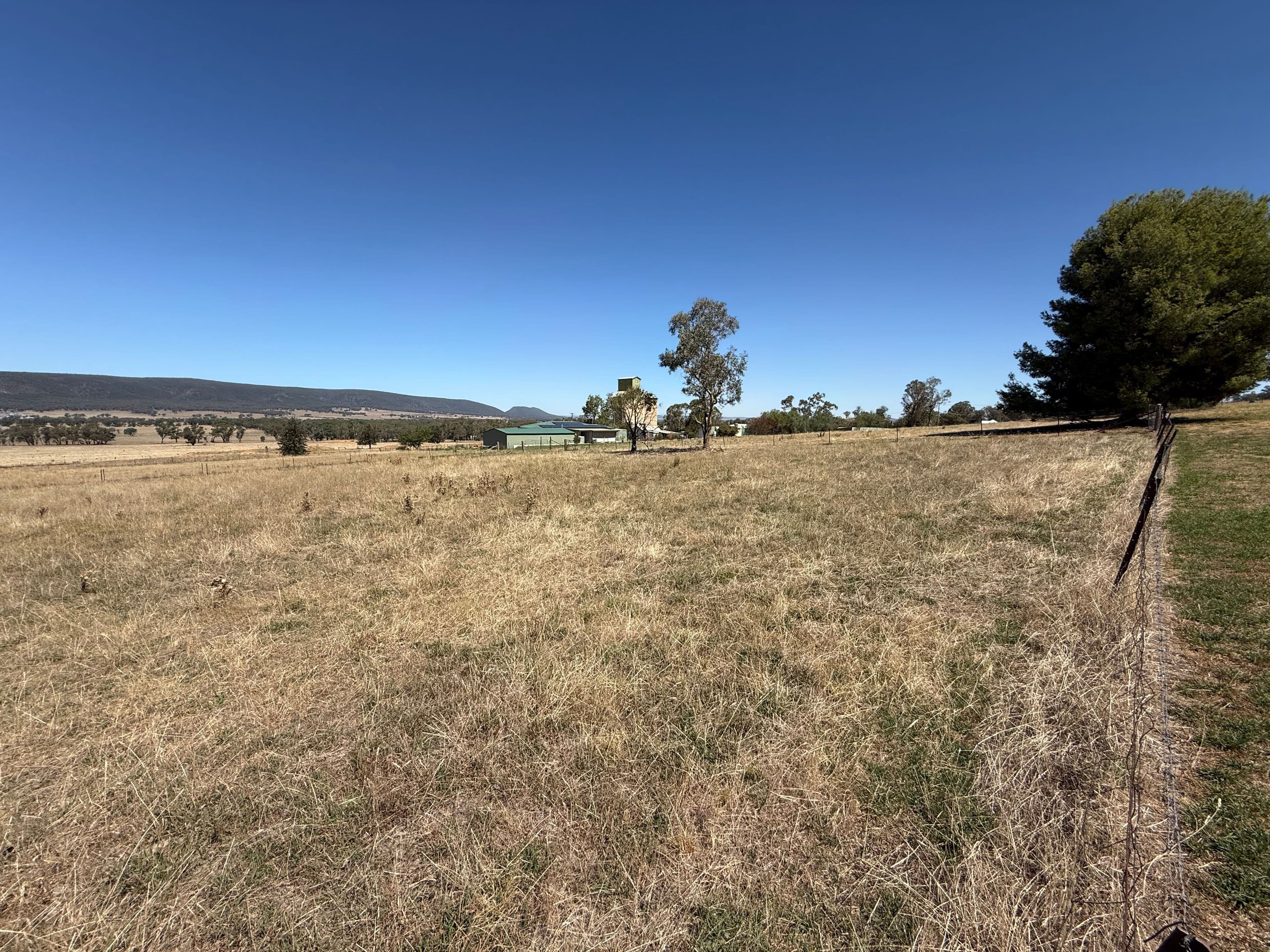 Lots 12, 13, 14 & 15 Mirriam Street, Bendick Murrell Via, Young NSW 2594, Young - Thumbnail 8