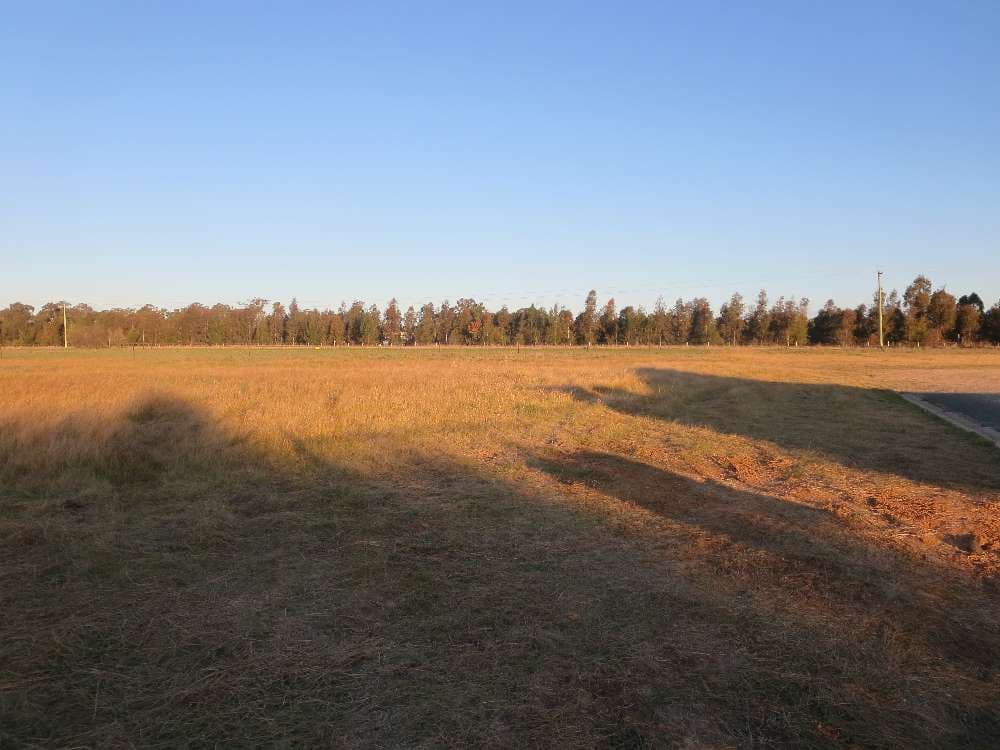 10 Kotzur Circle, Walla Walla NSW 2659, Walla Walla - Image 1