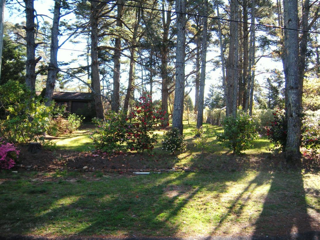 30 Jubilee Avenue, BLACKHEATH NSW 2785, Blackheath - Thumbnail 2