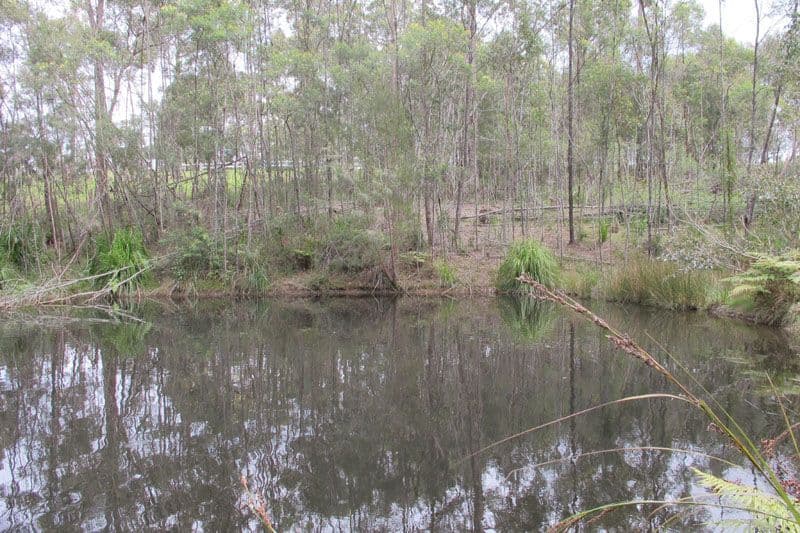 45 Lyrebird Place, BODALLA NSW 2545, Bodalla - Thumbnail 2