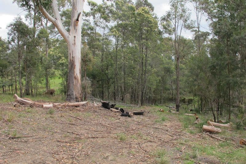 45 Lyrebird Place, BODALLA NSW 2545, Bodalla - Thumbnail 3