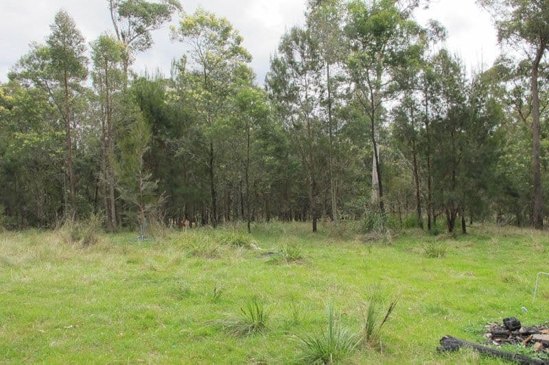45 Lyrebird Place, BODALLA NSW 2545, Bodalla - Thumbnail 4