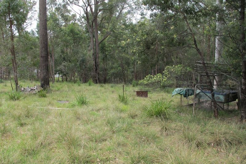 45 Lyrebird Place, BODALLA NSW 2545, Bodalla - Thumbnail 5