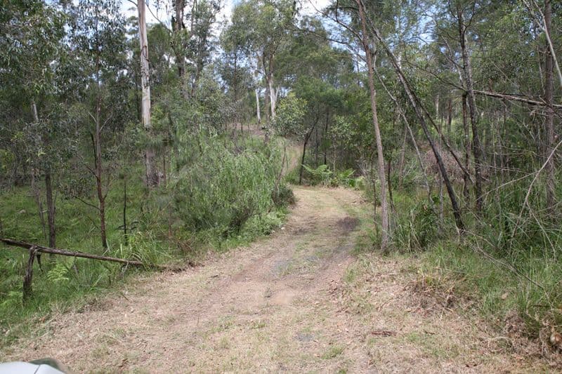 45 Lyrebird Place, BODALLA NSW 2545, Bodalla - Thumbnail 7