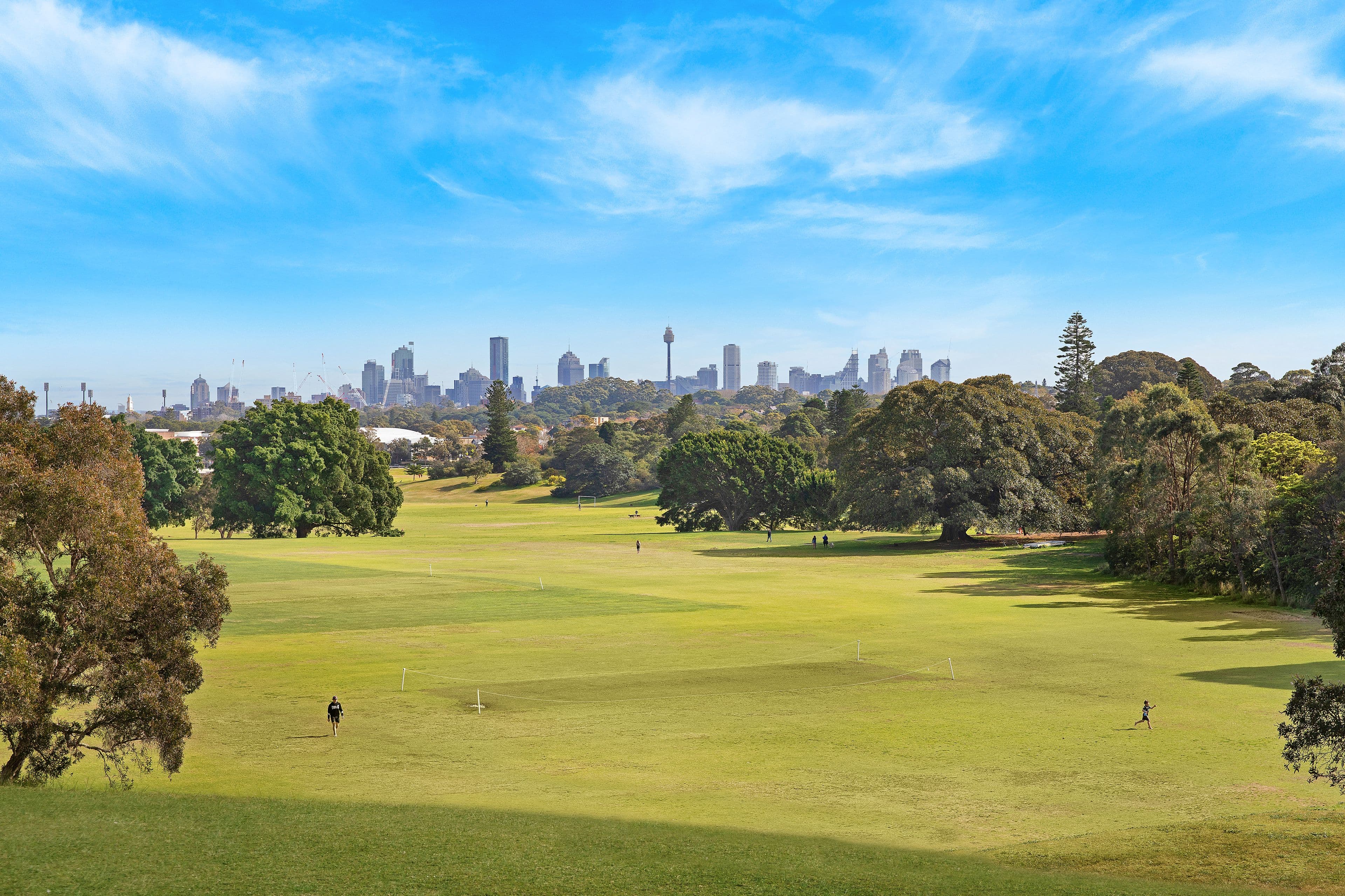 48 Pine Street, Randwick NSW 2031, Randwick - Thumbnail 6