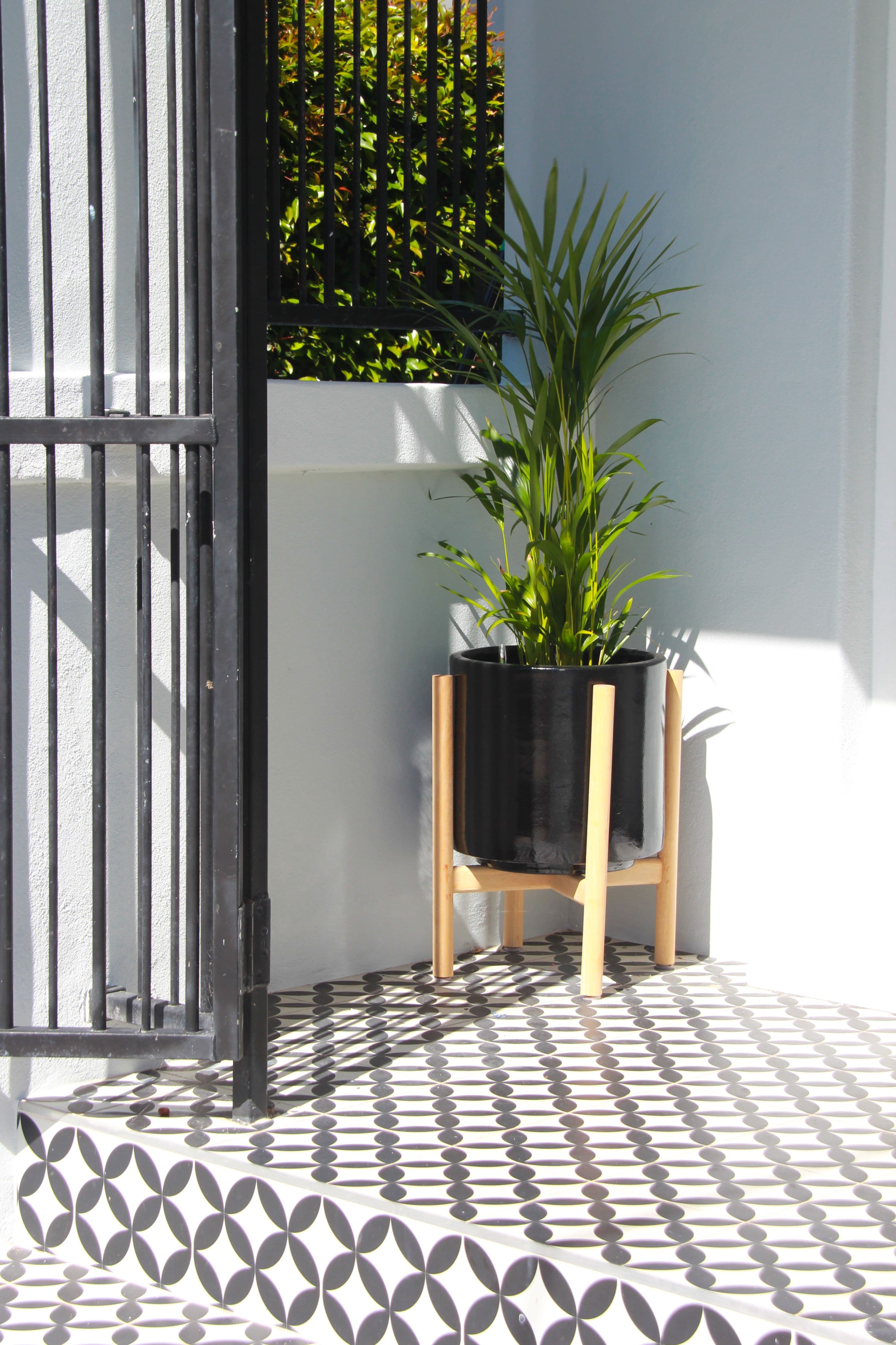 31 Coogee Street, Mount Hawthorn WA 6016, Mount Hawthorn - Thumbnail 3