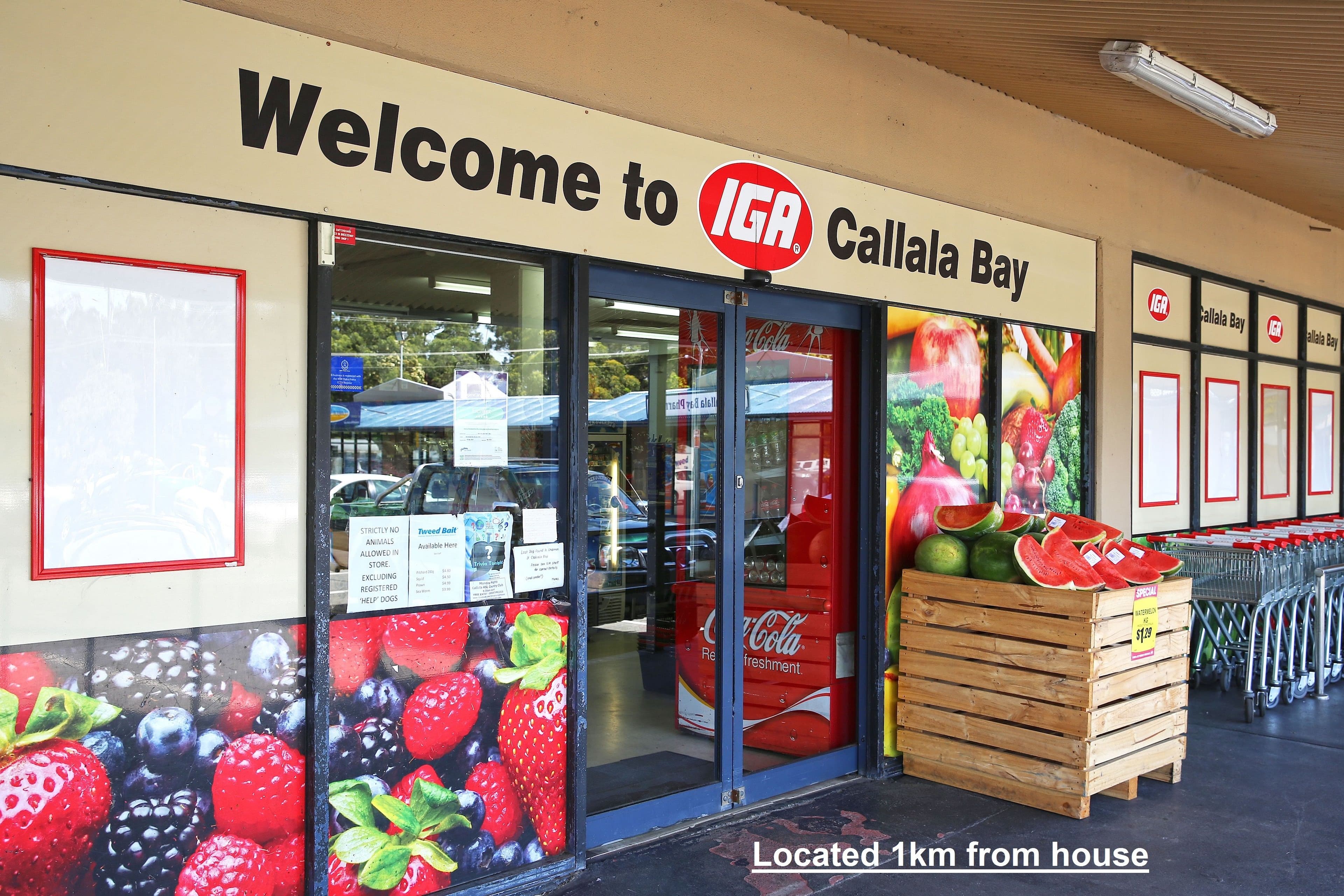 12 Cook Street, Callala Bay - Thumbnail 6