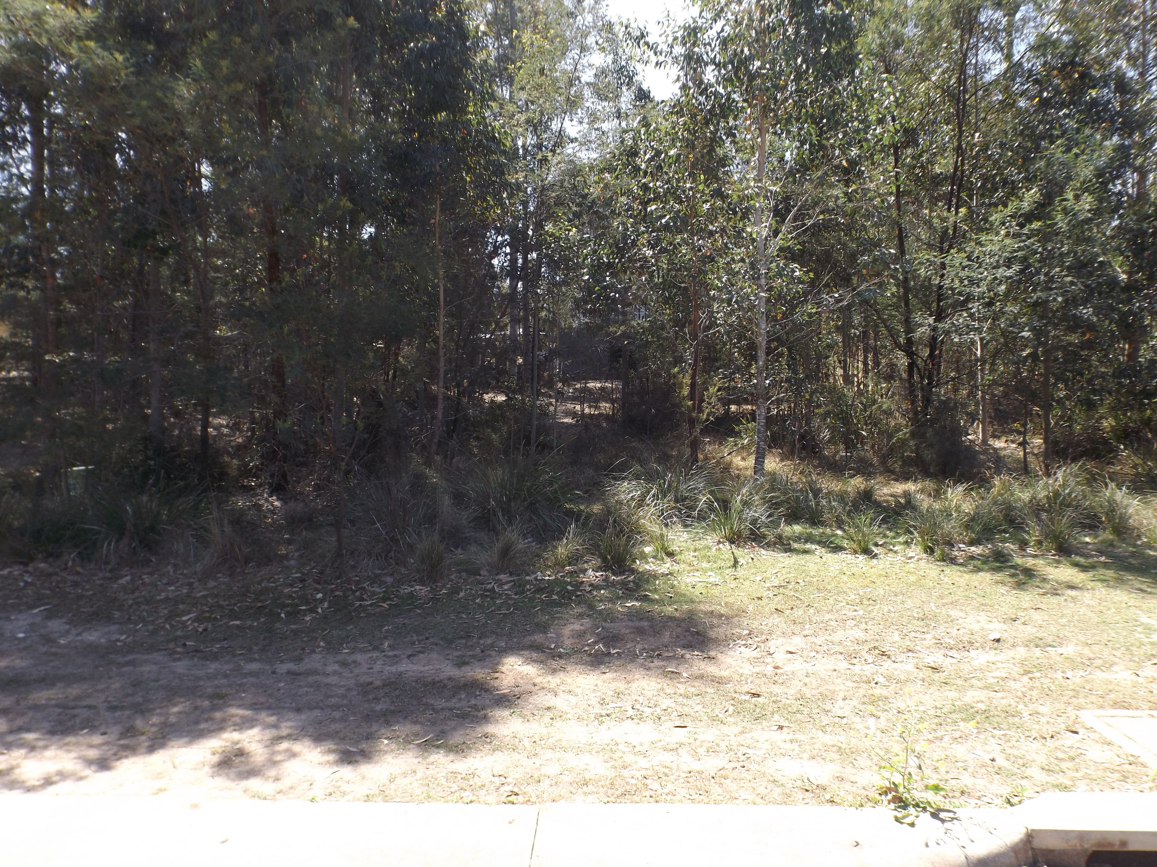 5 Rodgers Street, Long Beach NSW 2536, Long Beach - Image 1