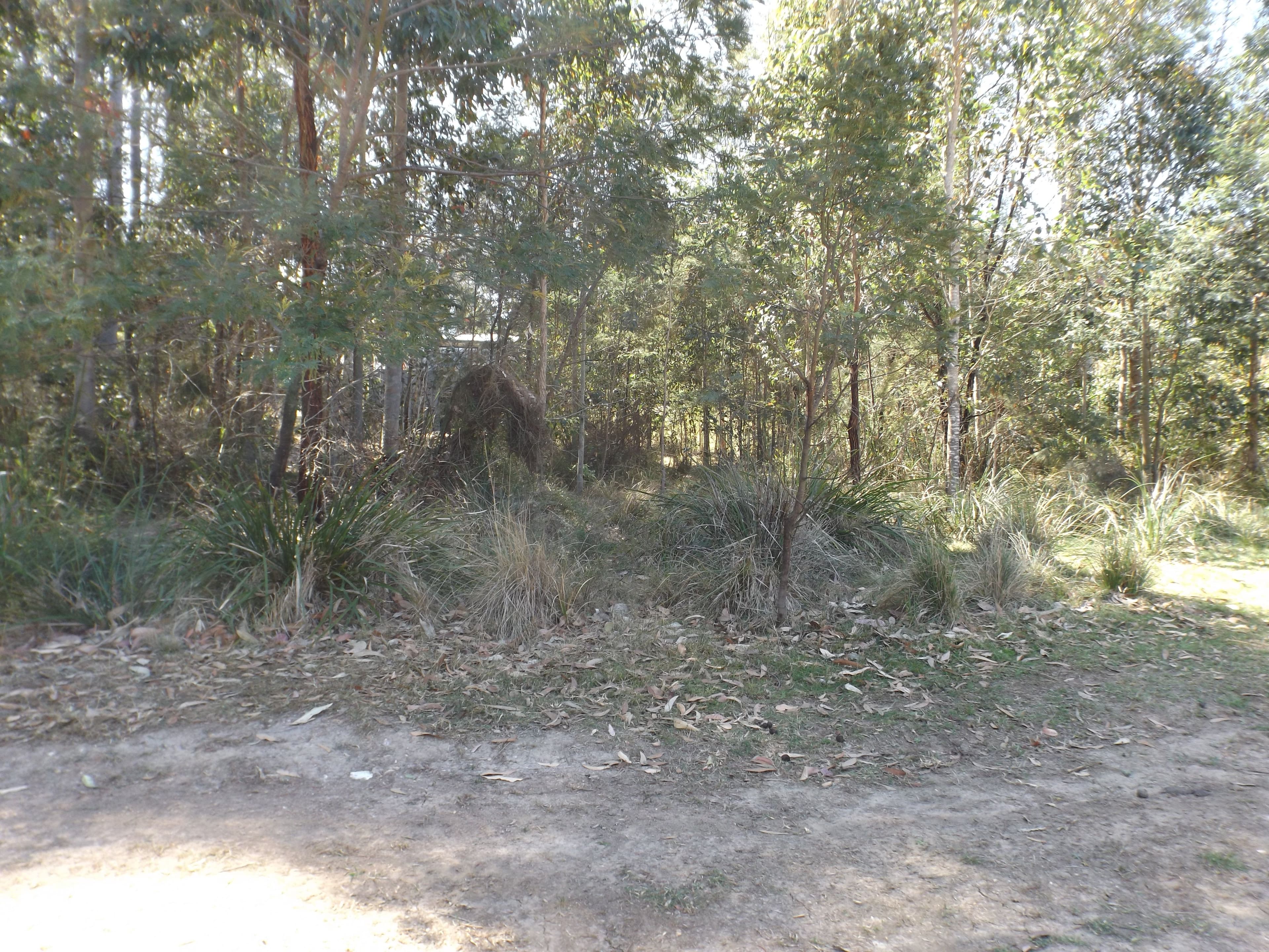5 Rodgers Street, Long Beach NSW 2536, Long Beach - Thumbnail 2