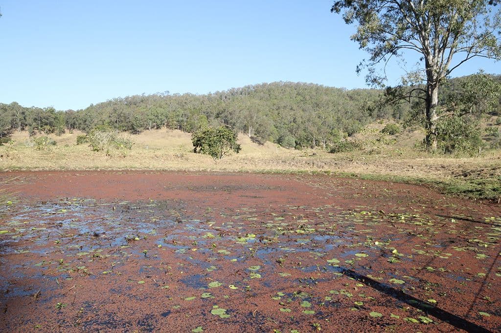 Lot 1, 487 Kropp Road, Woodford QLD 4514, Woodford - Thumbnail 5