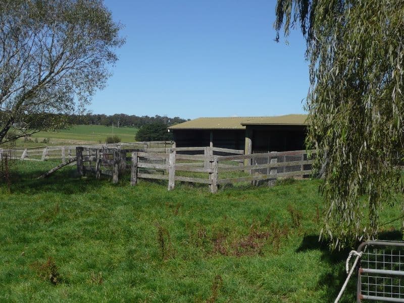 6382 " Numbawarra " Illawarra Highway, MOSS VALE NSW 2577, Moss Vale - Thumbnail 7