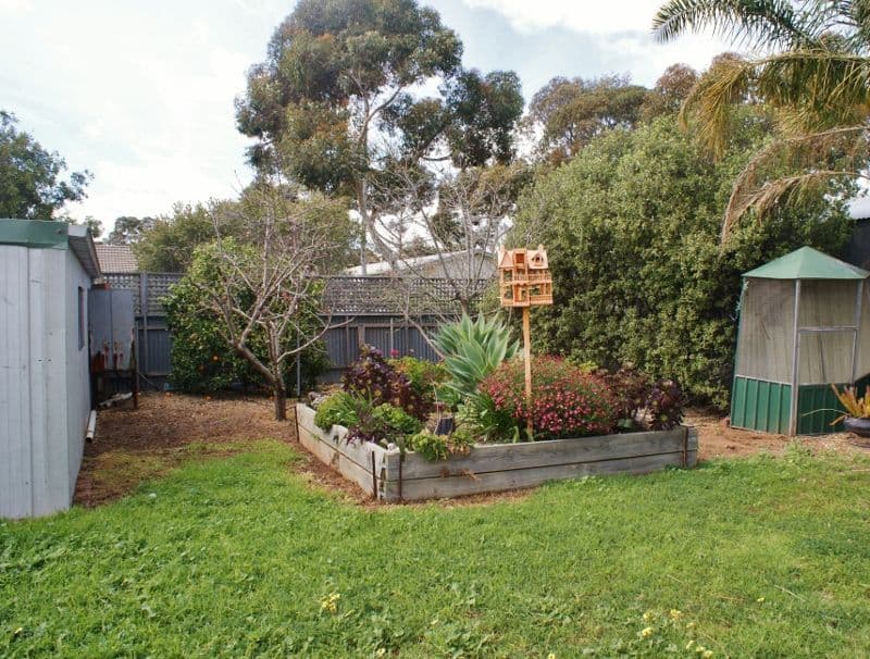 38 Lachlan Avenue, Murray Bridge SA 5253, Murray Bridge - Thumbnail 6