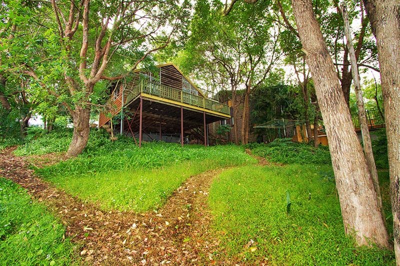 73 Chelford Street, ALDERLEY QLD 4051, Alderley - Thumbnail 4
