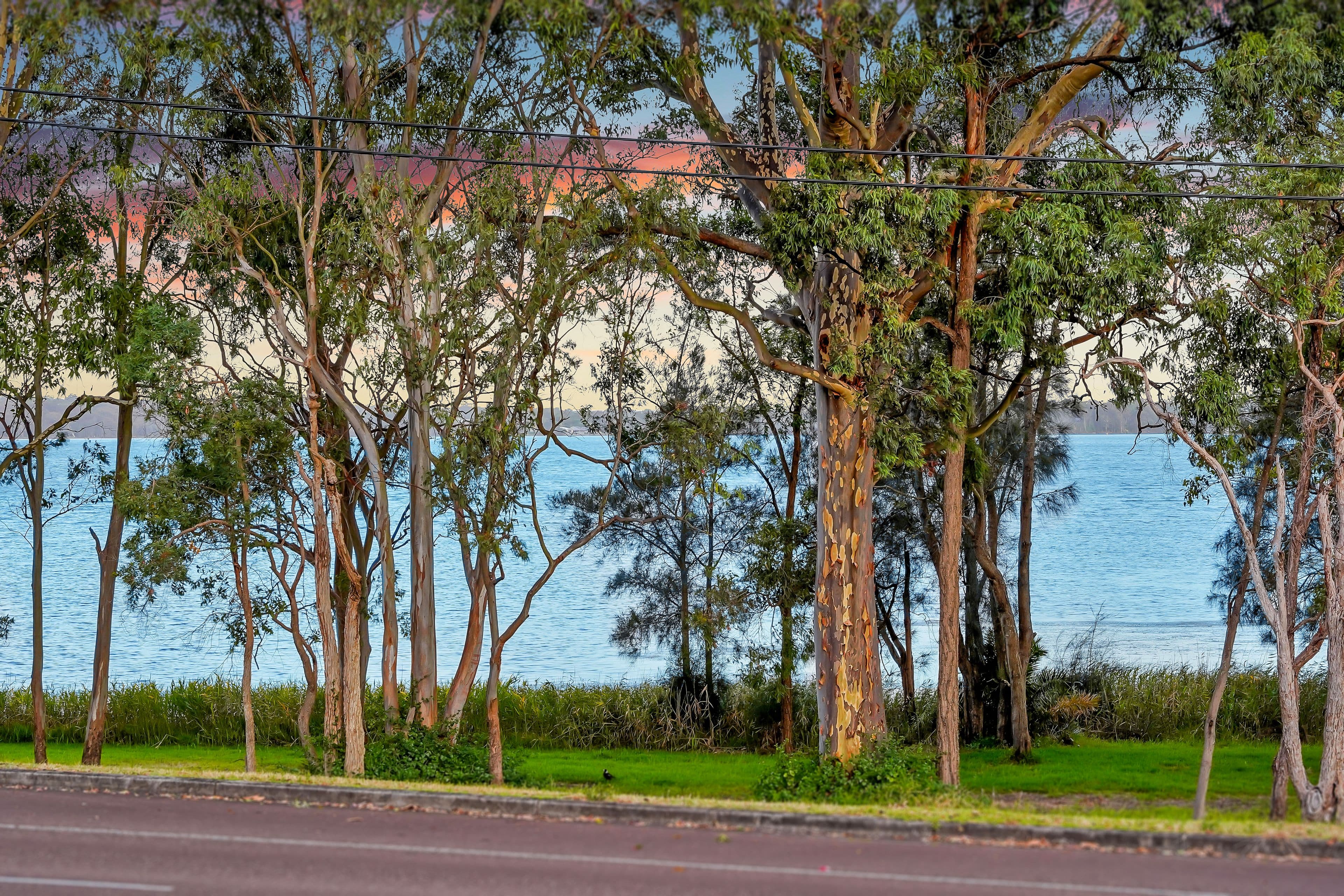 78 Panorama Avenue, Charmhaven NSW 2263, Charmhaven - Thumbnail 5