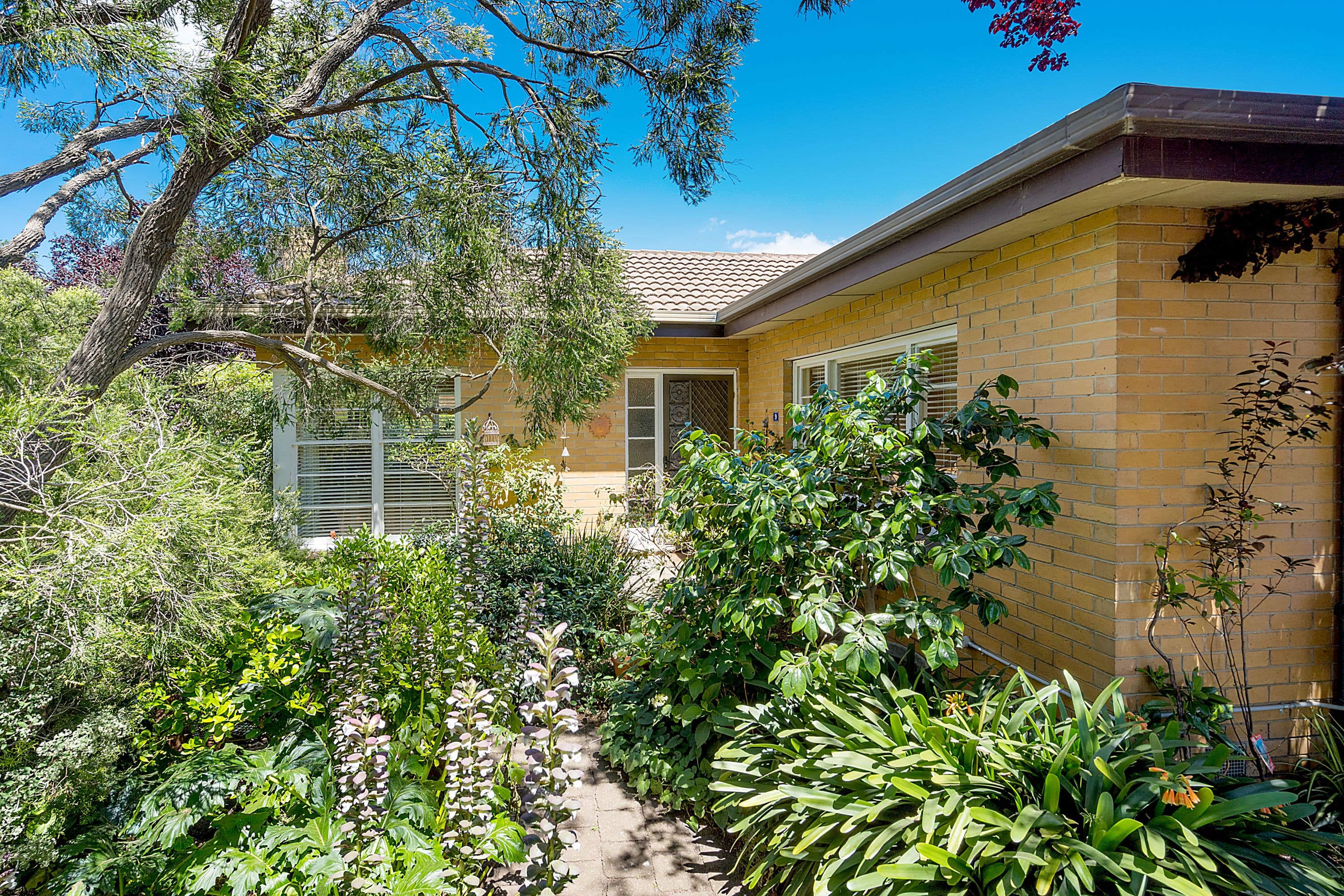 9 Martha Court, Craigieburn VIC 3064, Craigieburn - Thumbnail 5