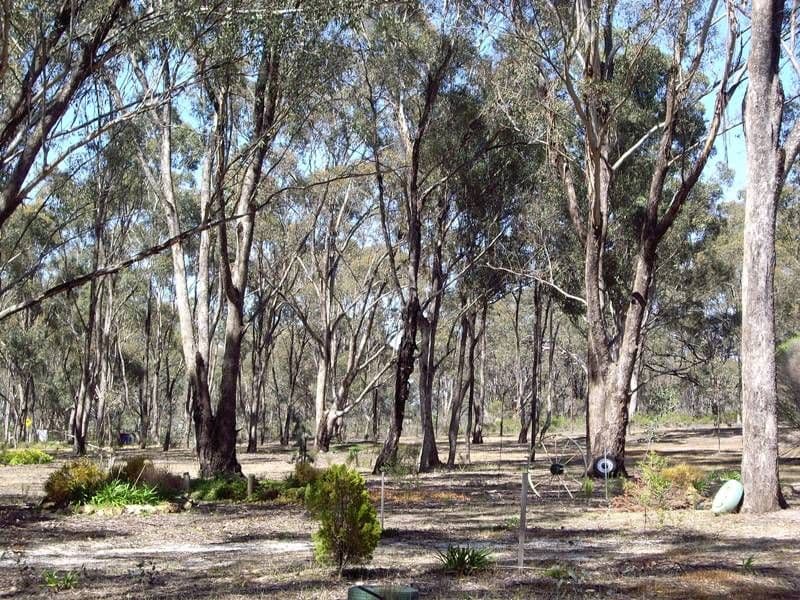 810 Goulburn Weir Road, MURCHISON VIC 3610, Murchison - Thumbnail 5
