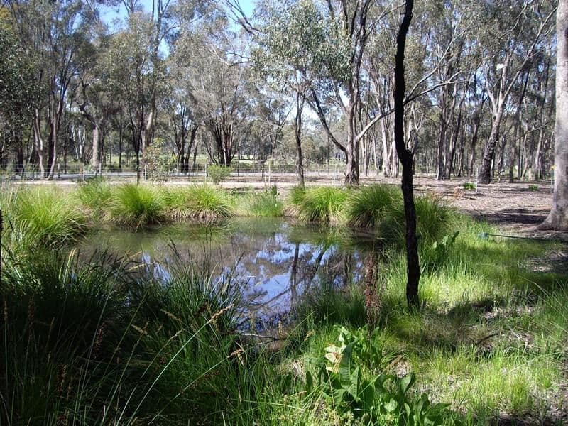 810 Goulburn Weir Road, MURCHISON VIC 3610, Murchison - Thumbnail 6
