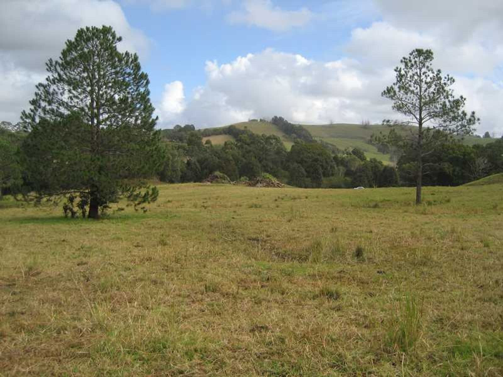Lot 91 Lot 91 Palm Lily Crescent, Bangalow - Thumbnail 5