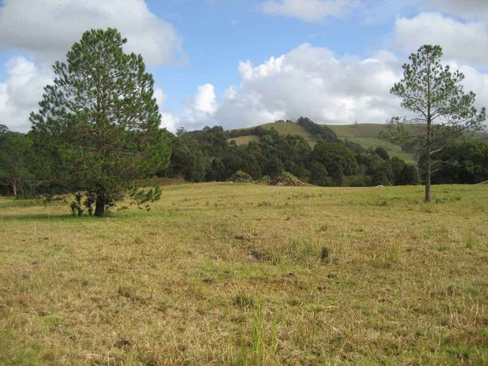 Lot 91 Lot 91 Palm Lily Crescent, Bangalow - Thumbnail 6