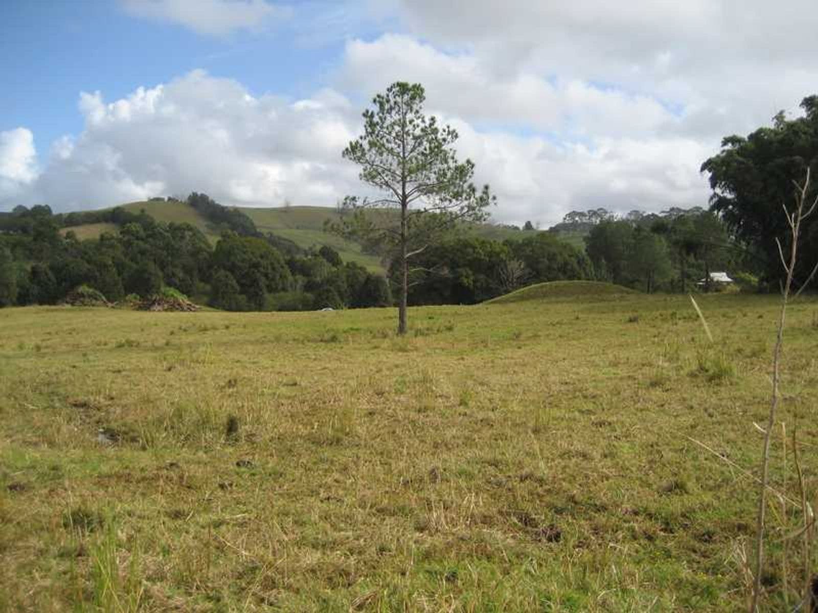 Lot 91 Lot 91 Palm Lily Crescent, Bangalow - Thumbnail 7