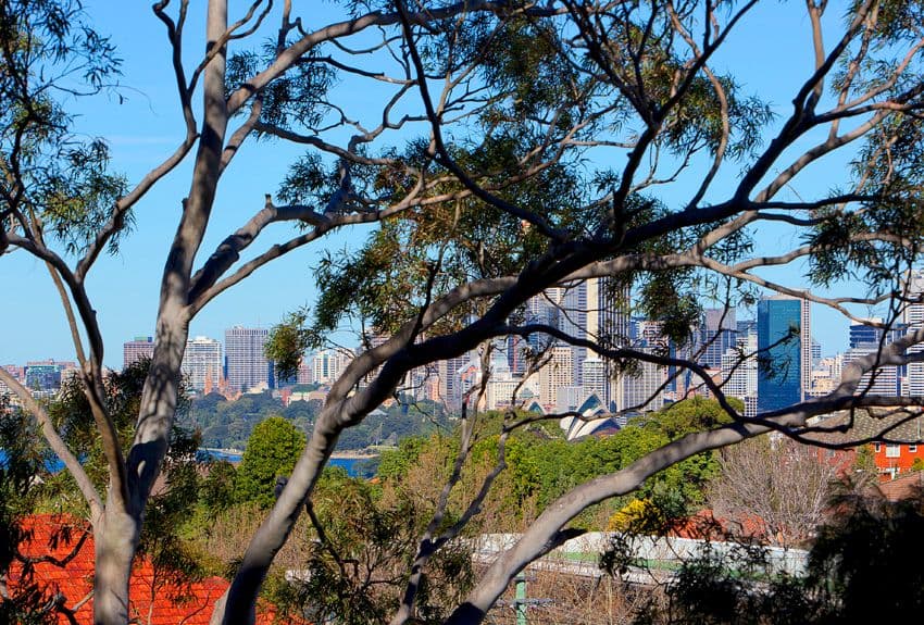 26-30 Cranbrook Avenue, CREMORNE NSW 2090, Cremorne - Image 1