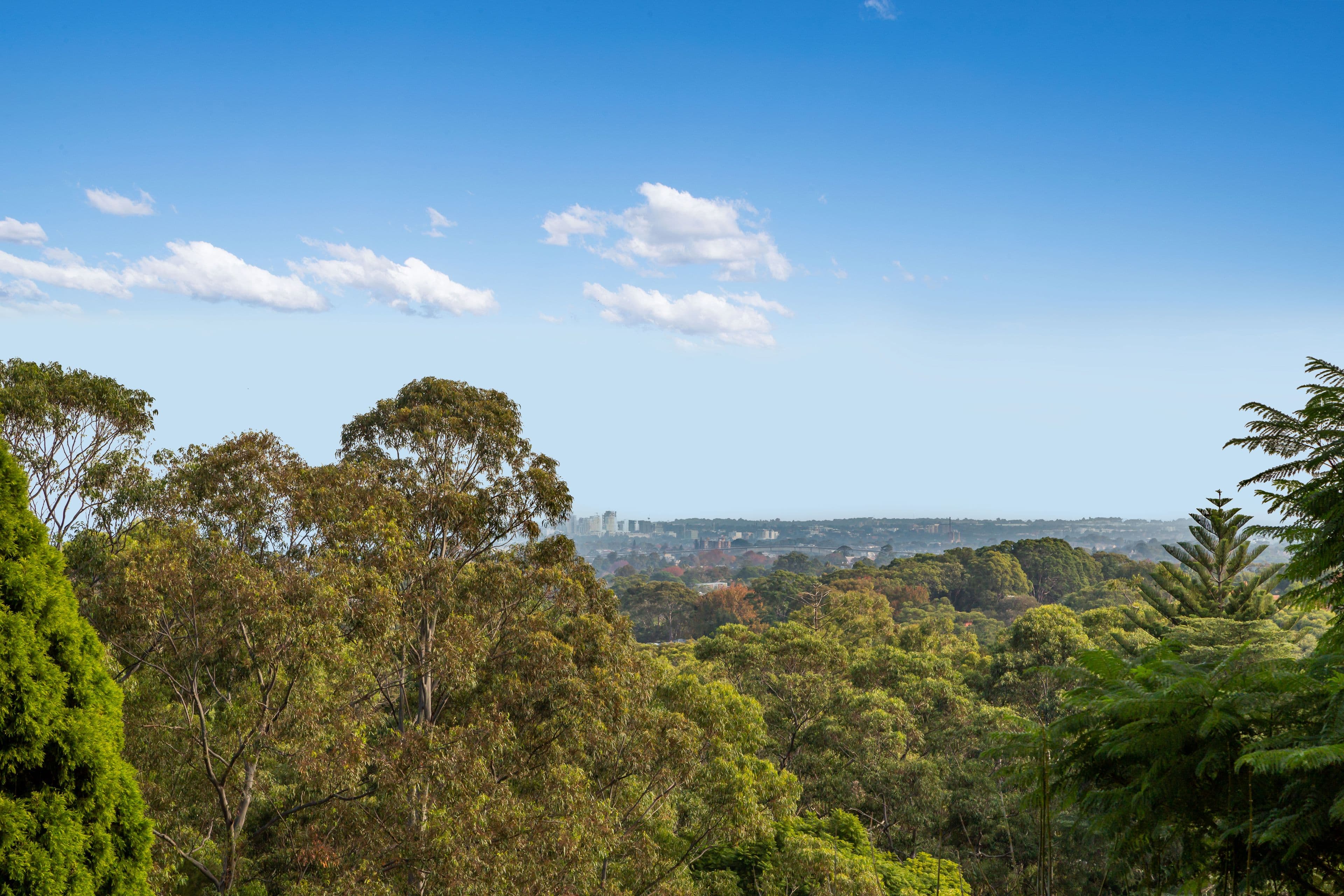 252 Pacific Highway, Greenwich NSW 2065, Greenwich - Thumbnail 4