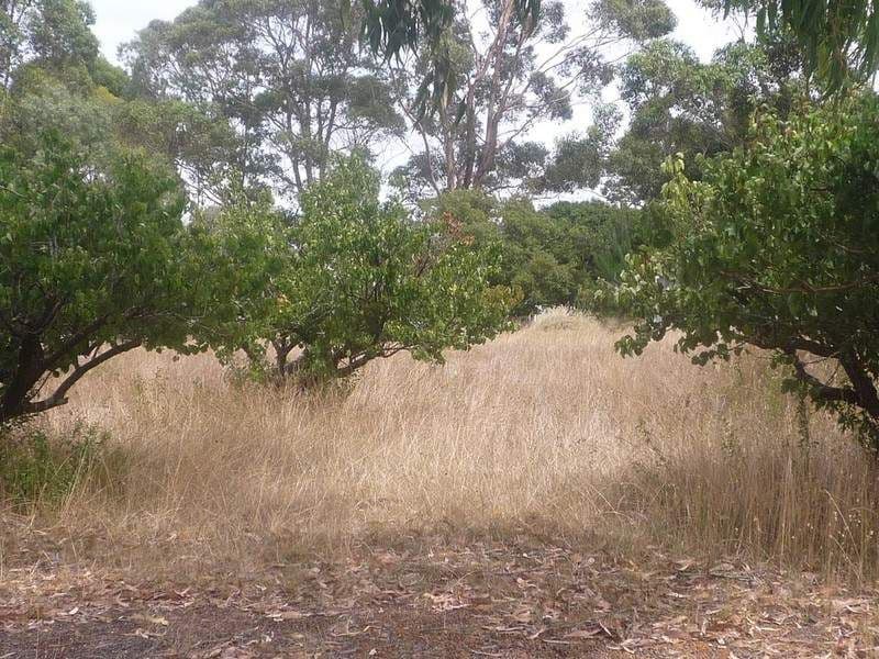 60 Mondurup Street, MOUNT BARKER WA 6324, Mount Barker - Thumbnail 3