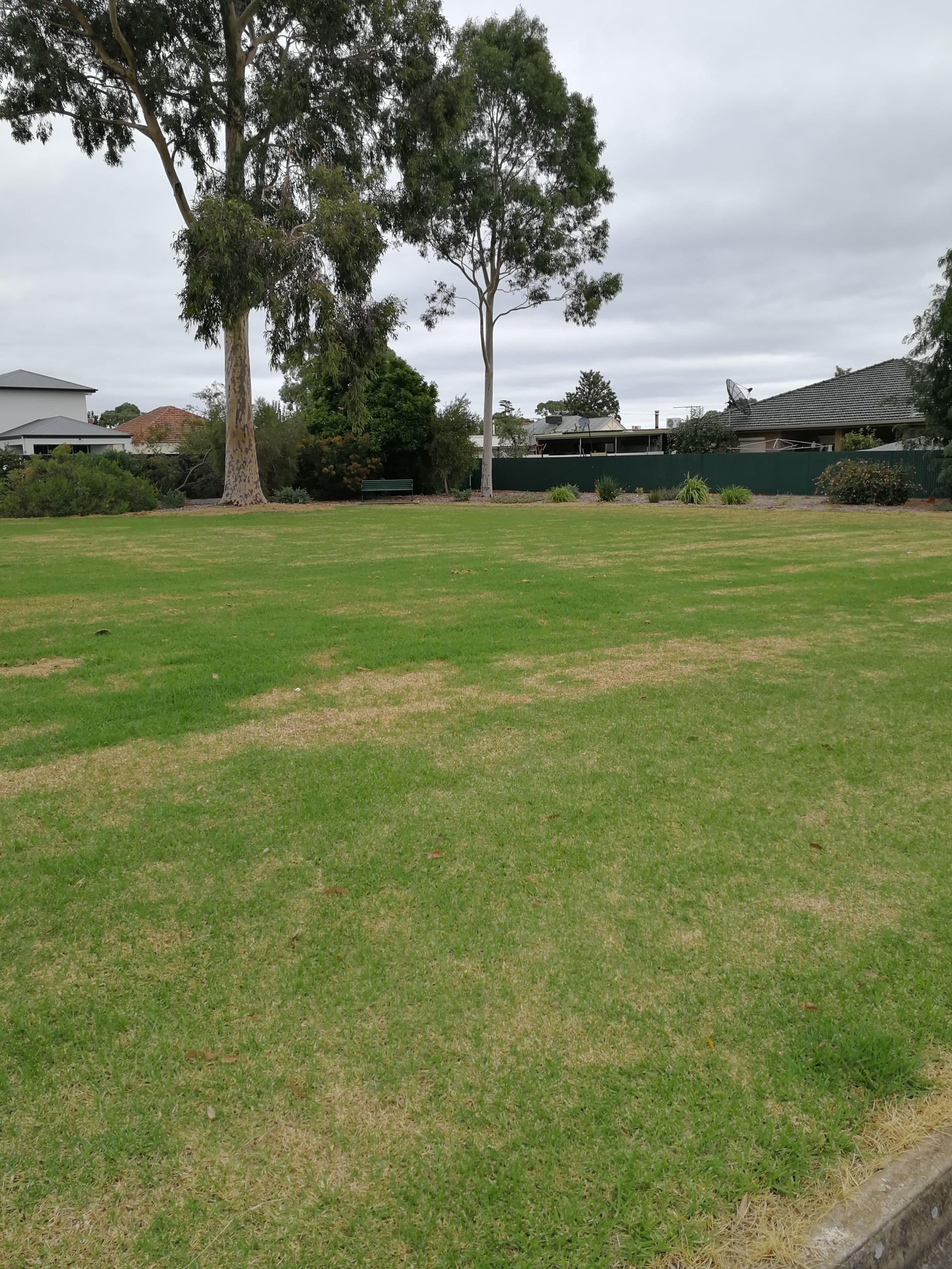 14 Acacia Avenue, Campbelltown SA 5074, Campbelltown - Thumbnail 4