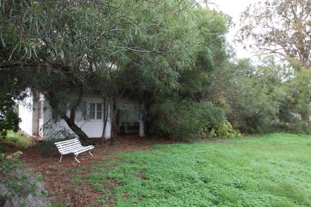 27 Lake Avenue, BARMERA SA 5345, Barmera - Thumbnail 4