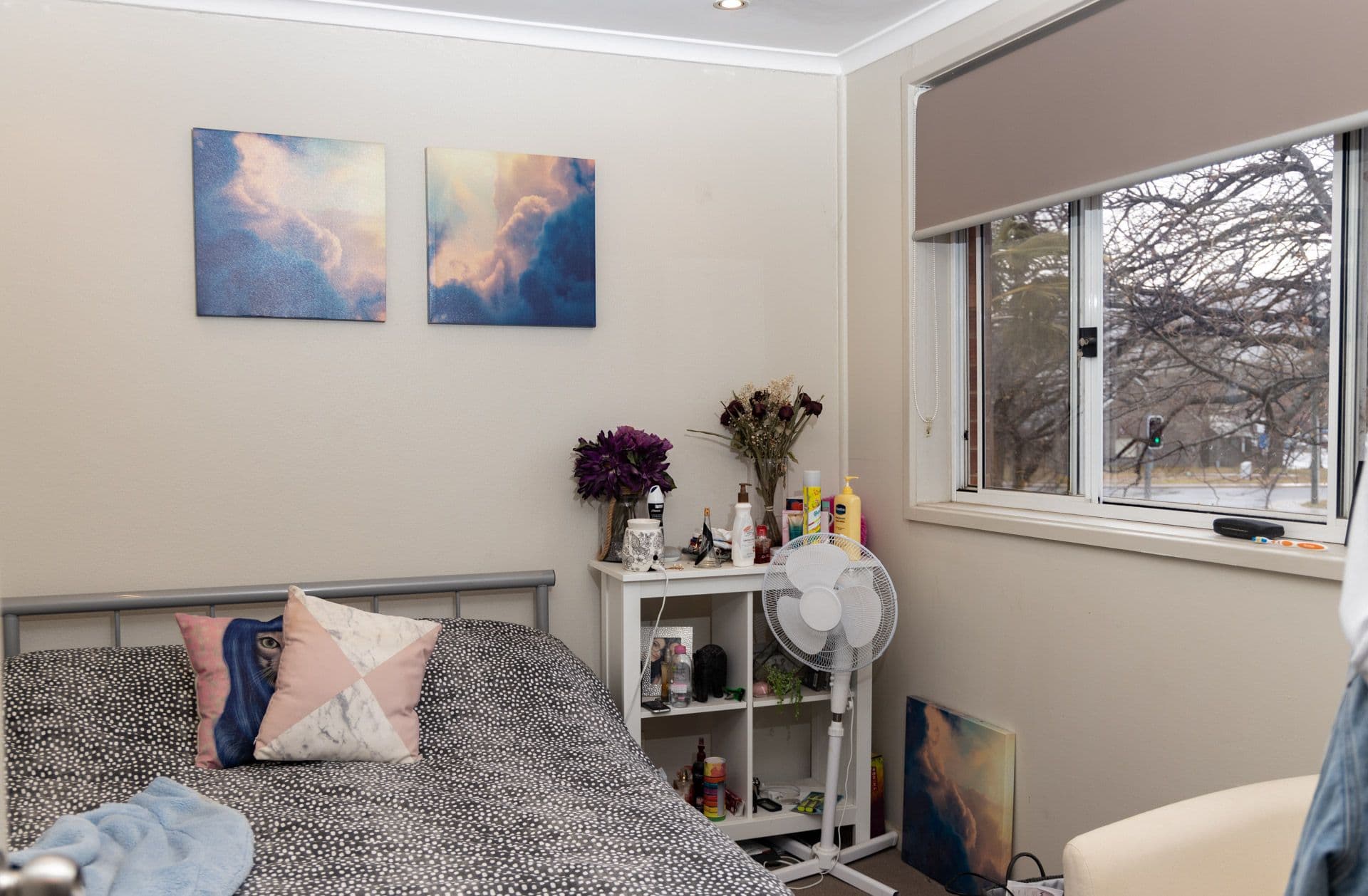 55 Antill Street, Downer ACT 2602, Downer - Thumbnail 8