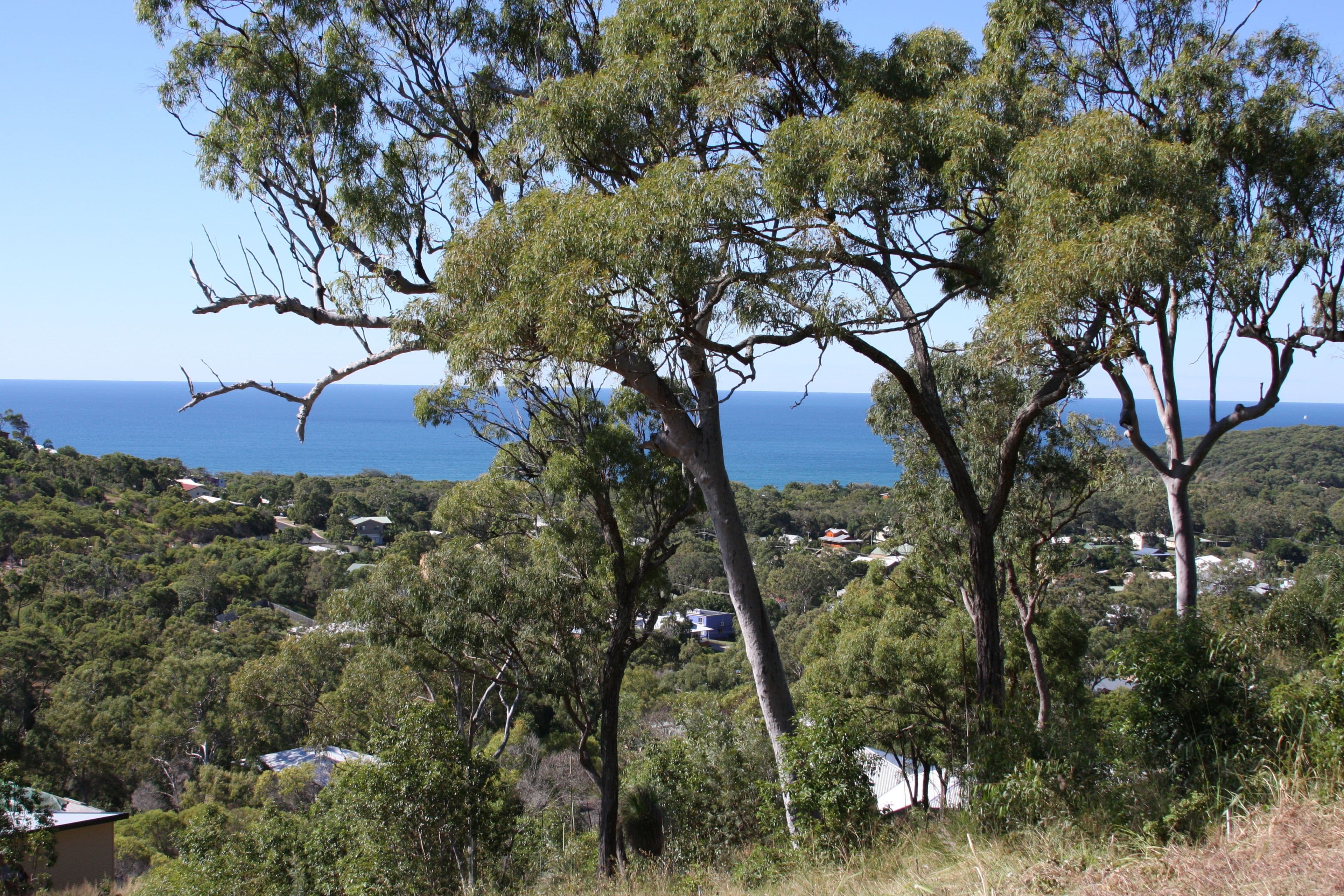 57a Seaspray Drive, Agnes Water QLD 4677, Agnes Water - Thumbnail 3