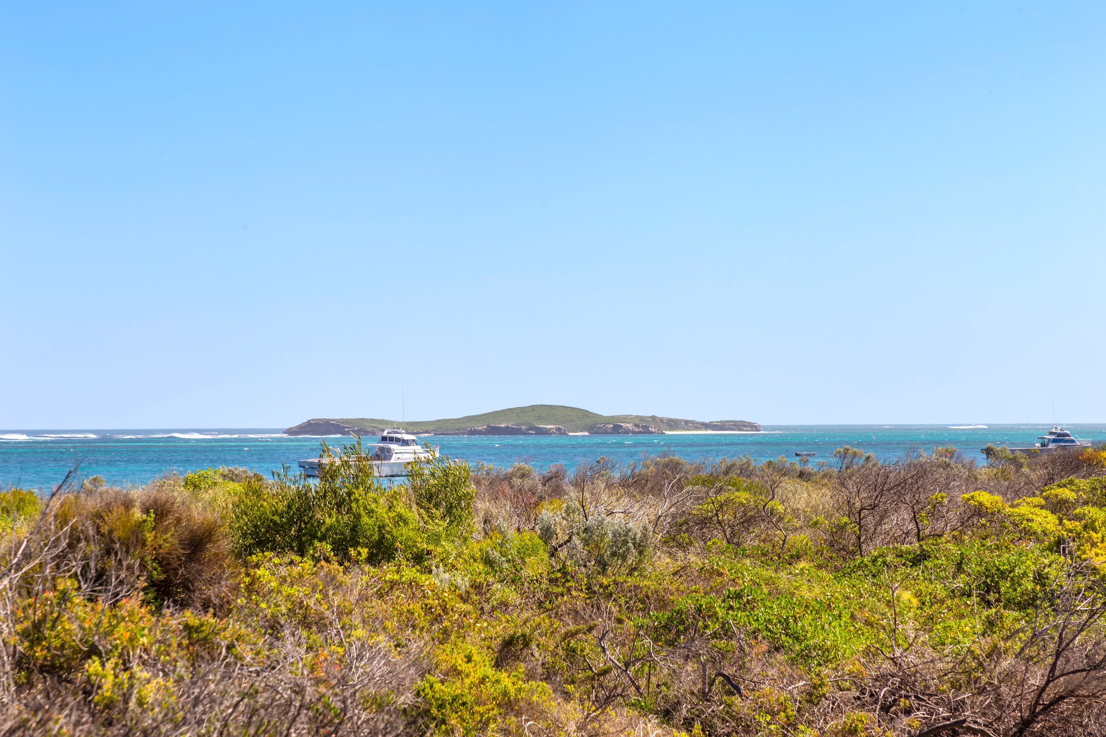 29 Cunliffe Street, Lancelin WA 6044, Lancelin - Thumbnail 8