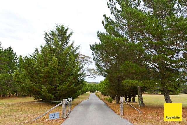 41 Merino Vale Drive, Wamboin - Thumbnail 2