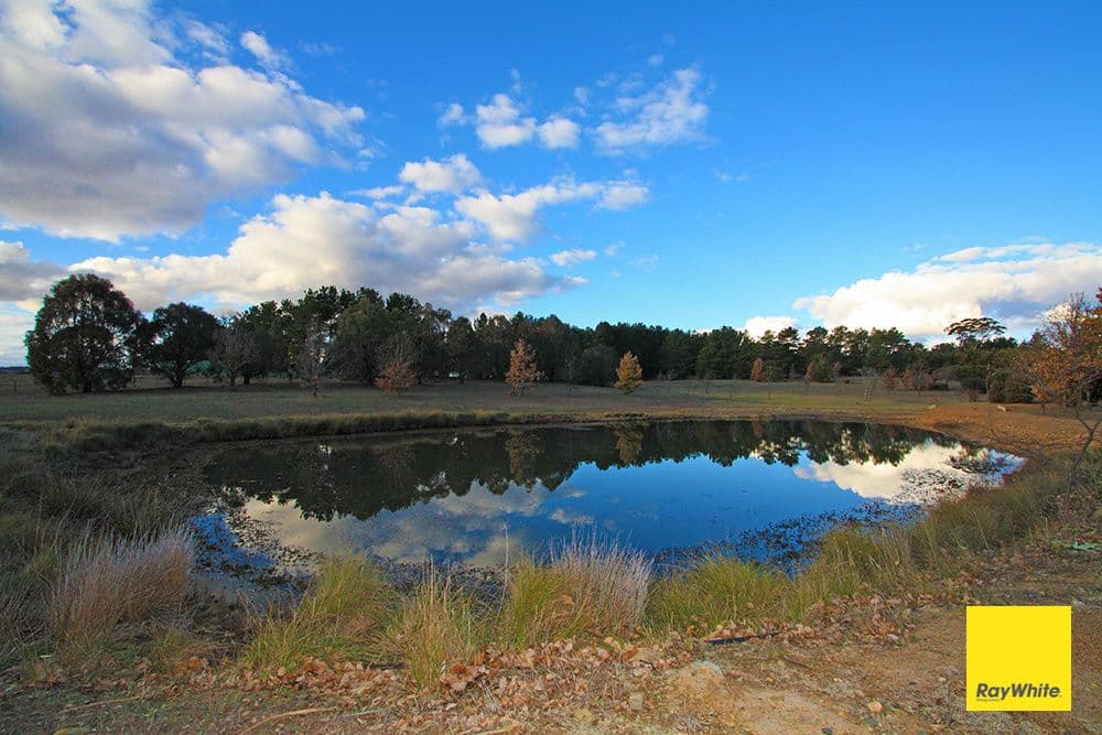 41 Merino Vale Drive, Wamboin - Thumbnail 3