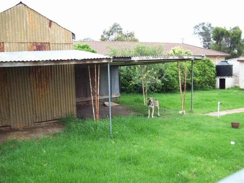 37 Bishop Street, DUBBO NSW 2830, Dubbo - Thumbnail 2