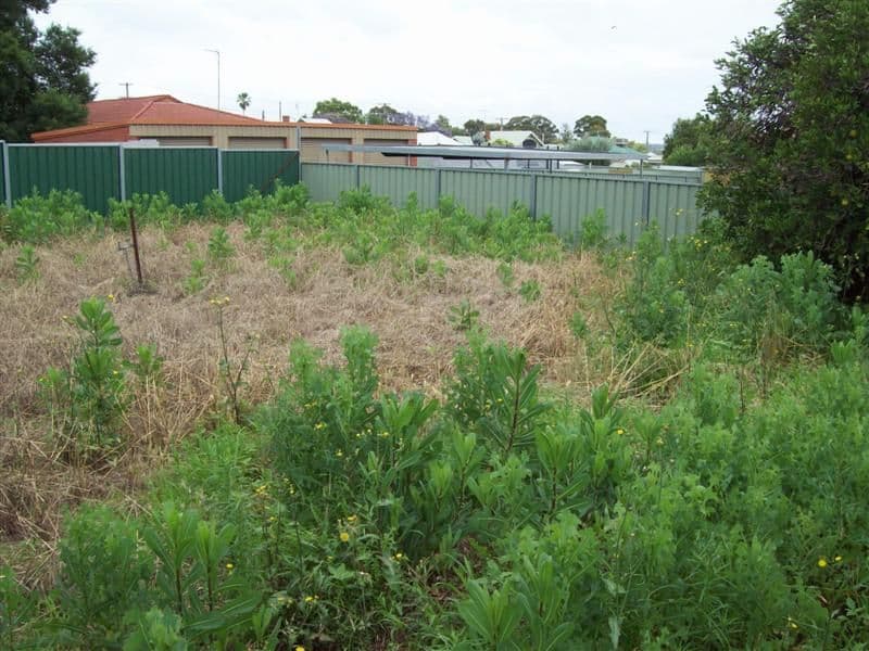 37 Bishop Street, DUBBO NSW 2830, Dubbo - Thumbnail 3