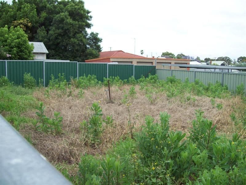 37 Bishop Street, DUBBO NSW 2830, Dubbo - Thumbnail 4