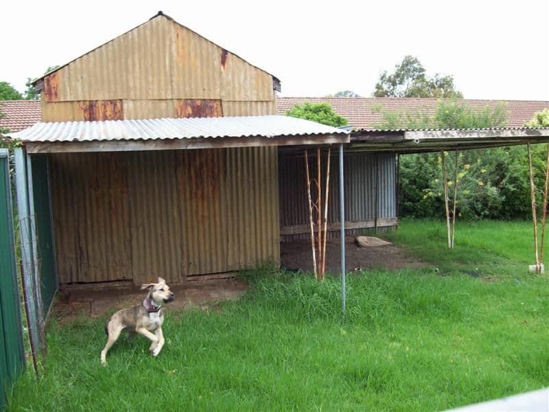 37 Bishop Street, DUBBO NSW 2830, Dubbo - Thumbnail 5