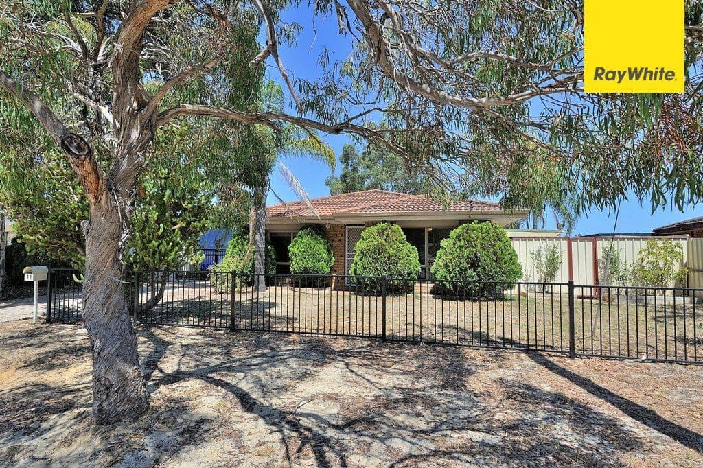 99 Ewart Street, Midland WA 6056, Midland - Thumbnail 3