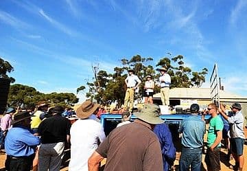 Clearing Sale 1691 Templeton Road Via Balaklava, Mount Templeton SA 5461, Mount Templeton - Image 1