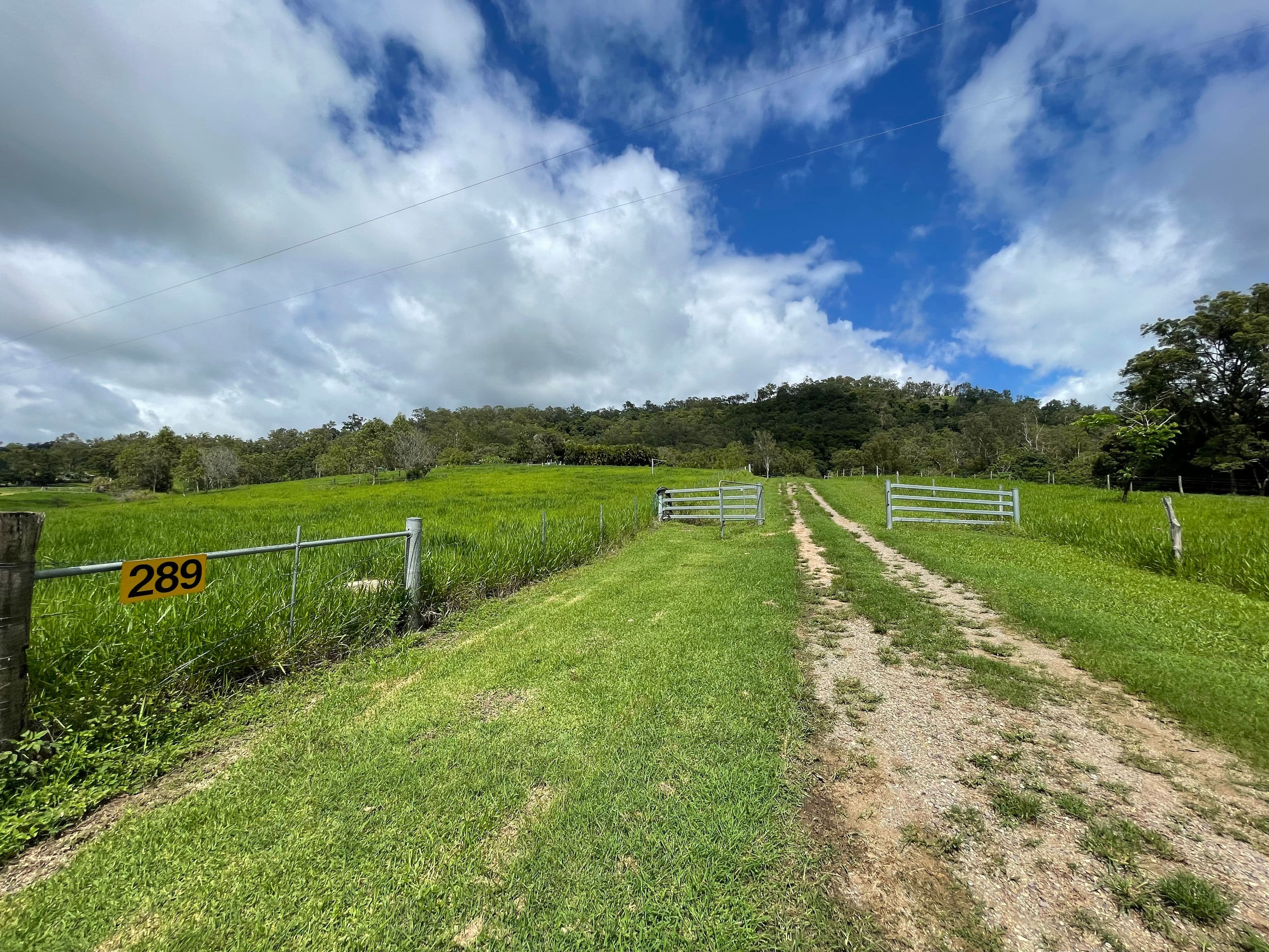 289 West Plane Creek Road, Sarina QLD 4737, Sarina - Thumbnail 2