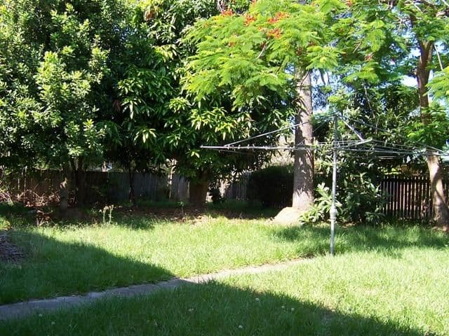 BELLARA QLD 4507, Bellara - Thumbnail 4