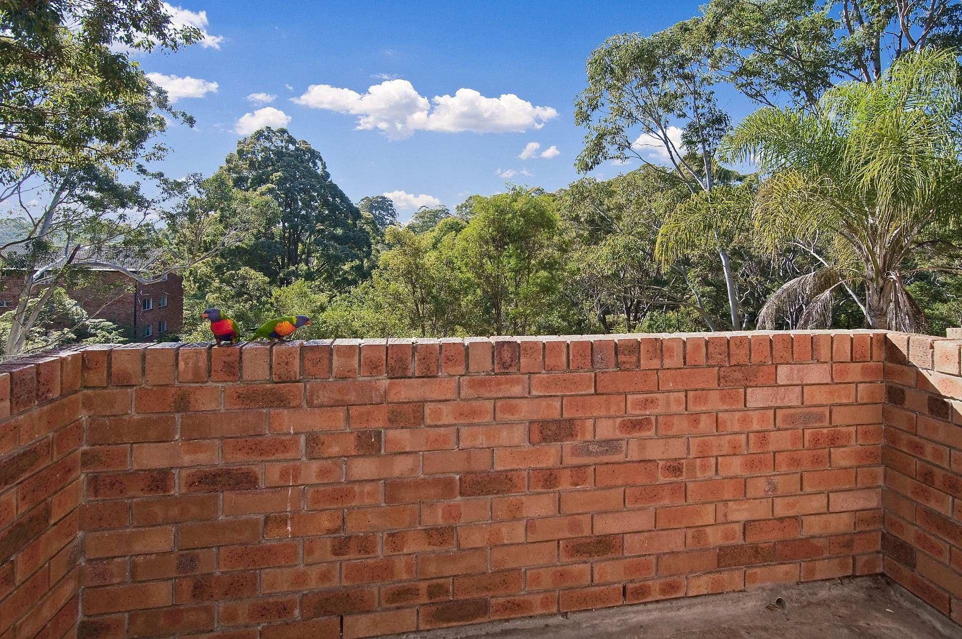 2 Leisure Close, Macquarie Park NSW 2113, Macquarie Park - Thumbnail 5