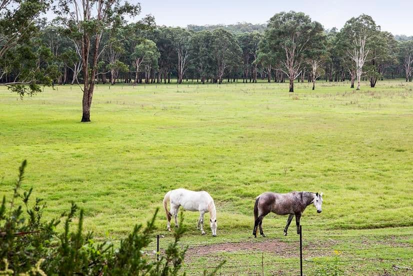 103 Stannix Park Lane, WILBERFORCE NSW 2756, Wilberforce - Thumbnail 5