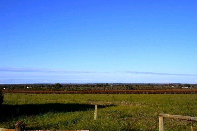 212 Cooltong Avenue, RENMARK SA 5341, Renmark - Image 1