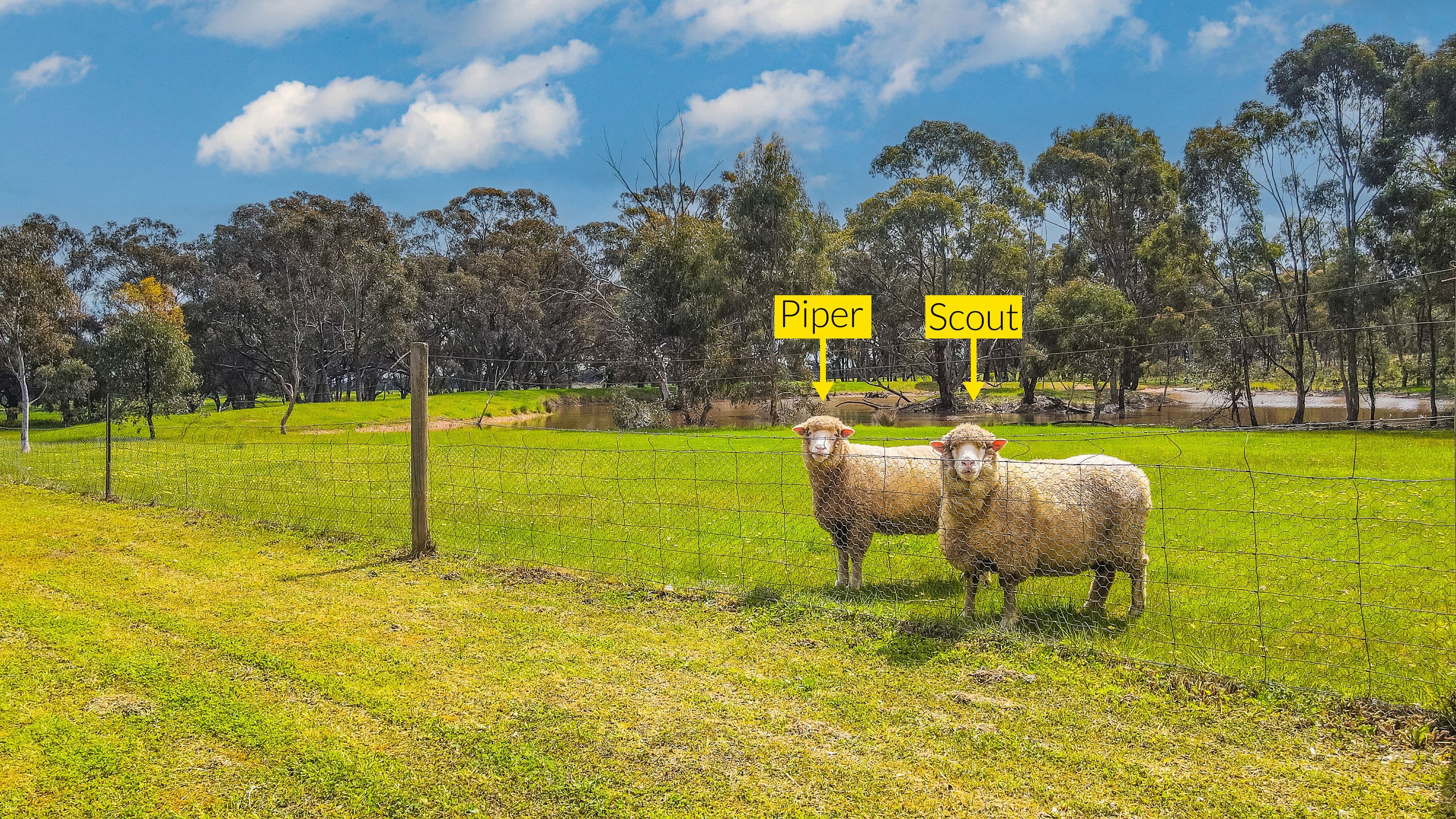 112 Meudell Road, SHELBOURNE VIC 3515, Shelbourne - Thumbnail 3