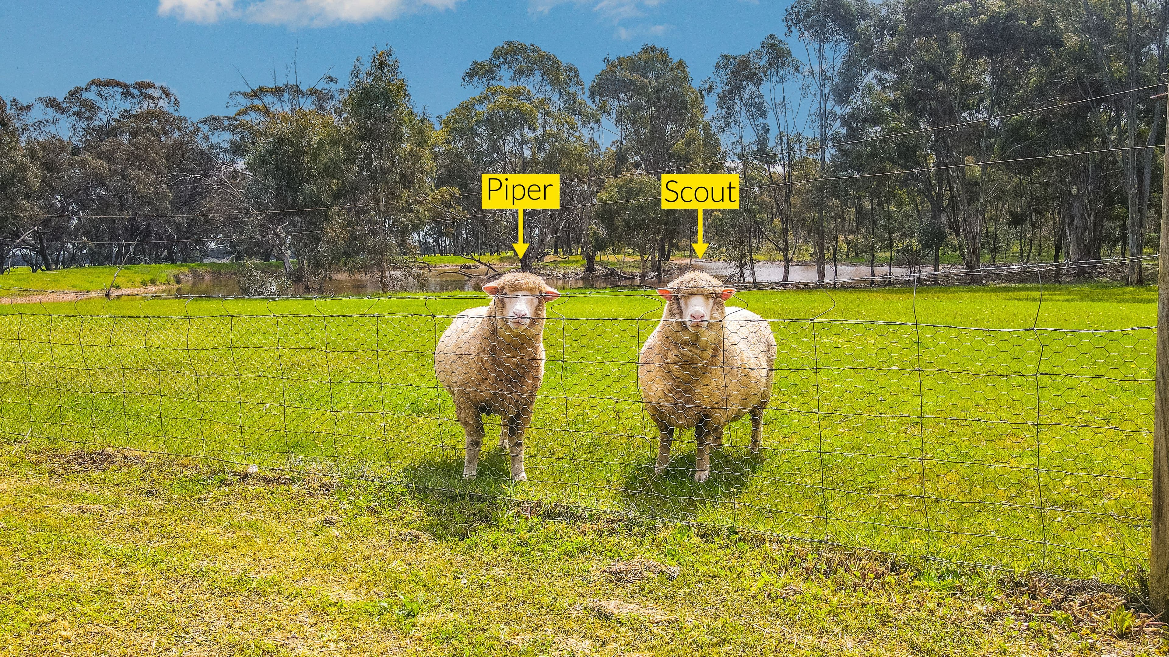 112 Meudell Road, SHELBOURNE VIC 3515, Shelbourne - Thumbnail 4